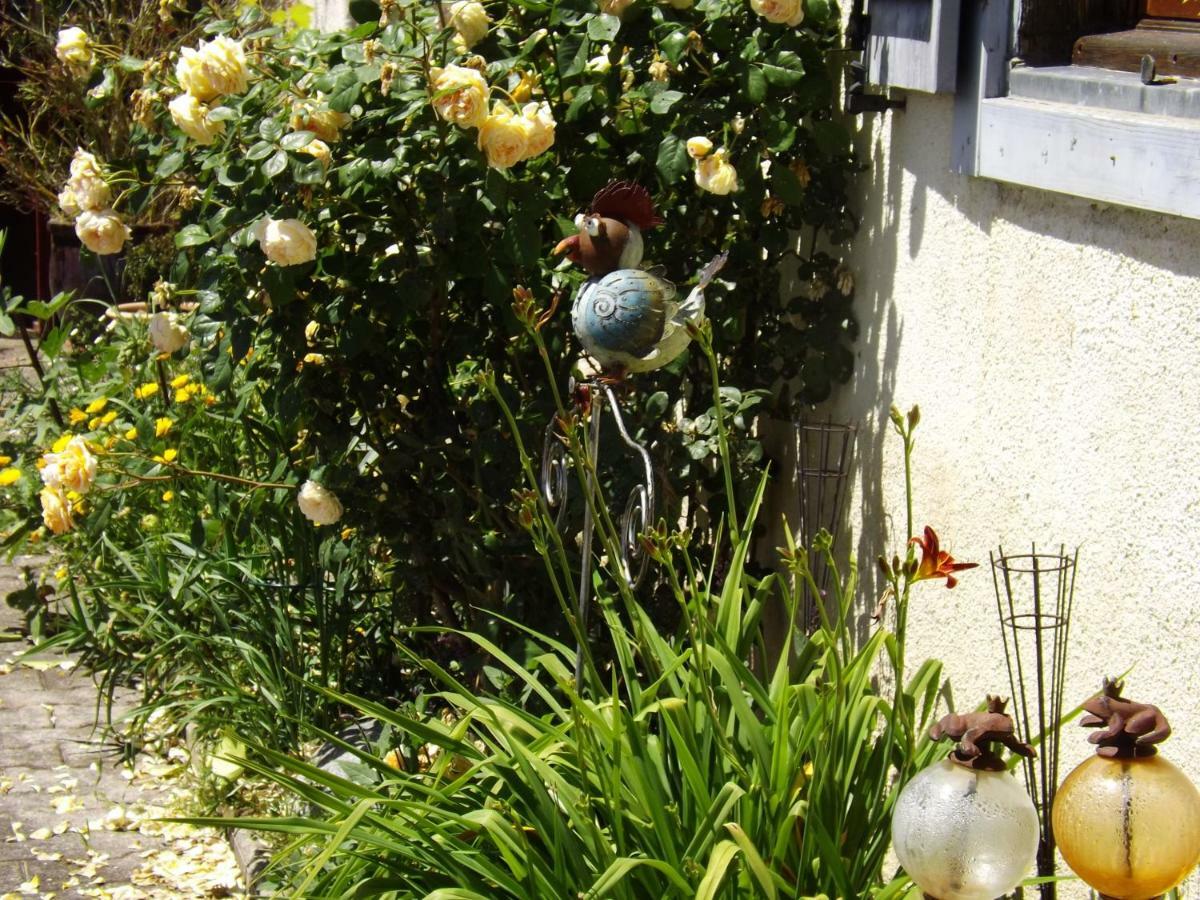 Gite Perisse, Le Petit Gite Apartment Libaros Luaran gambar